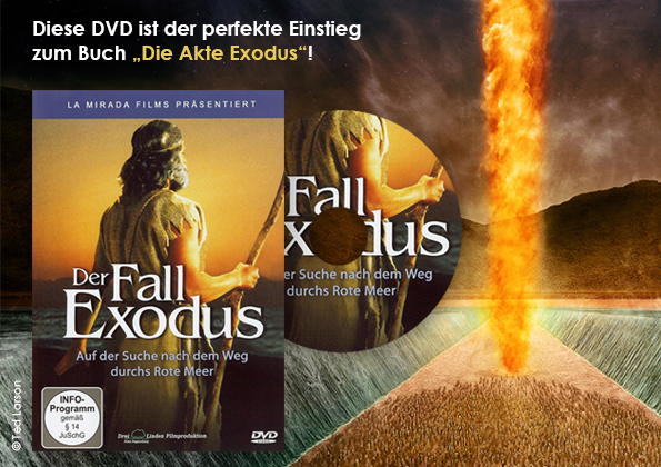 tl_files/1mg/3 Web-mitte- DVD.jpg